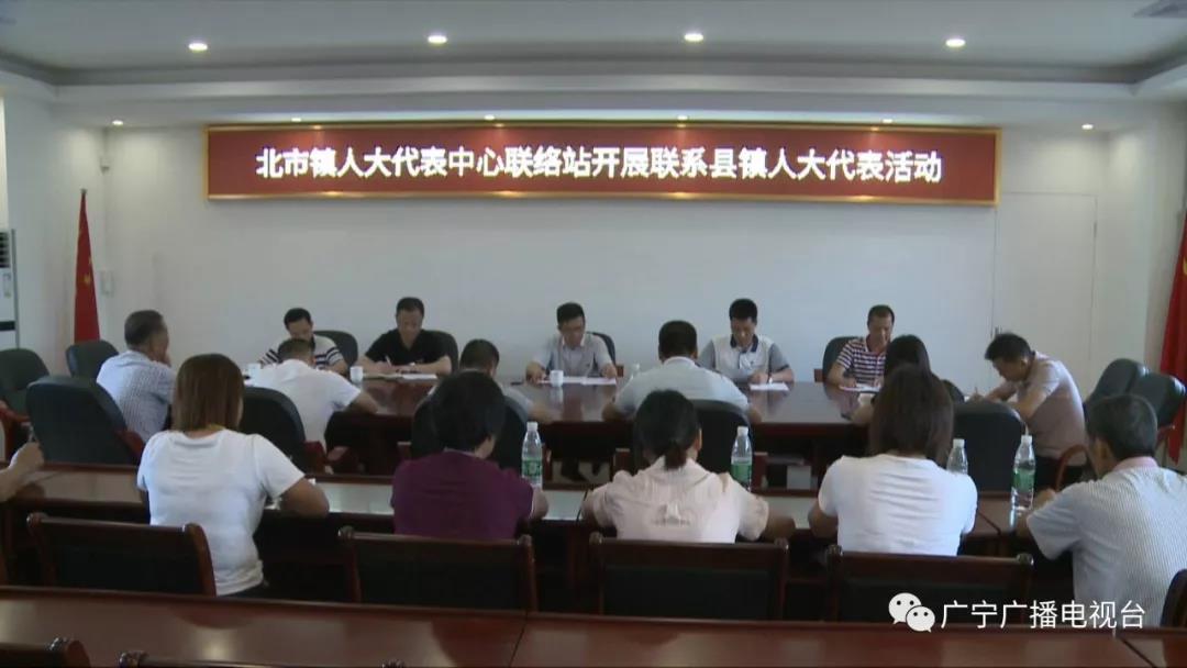 县人大常委会副主任祝世梅,李自和,冯国成,莫坤宝,副县长曾小红等分别