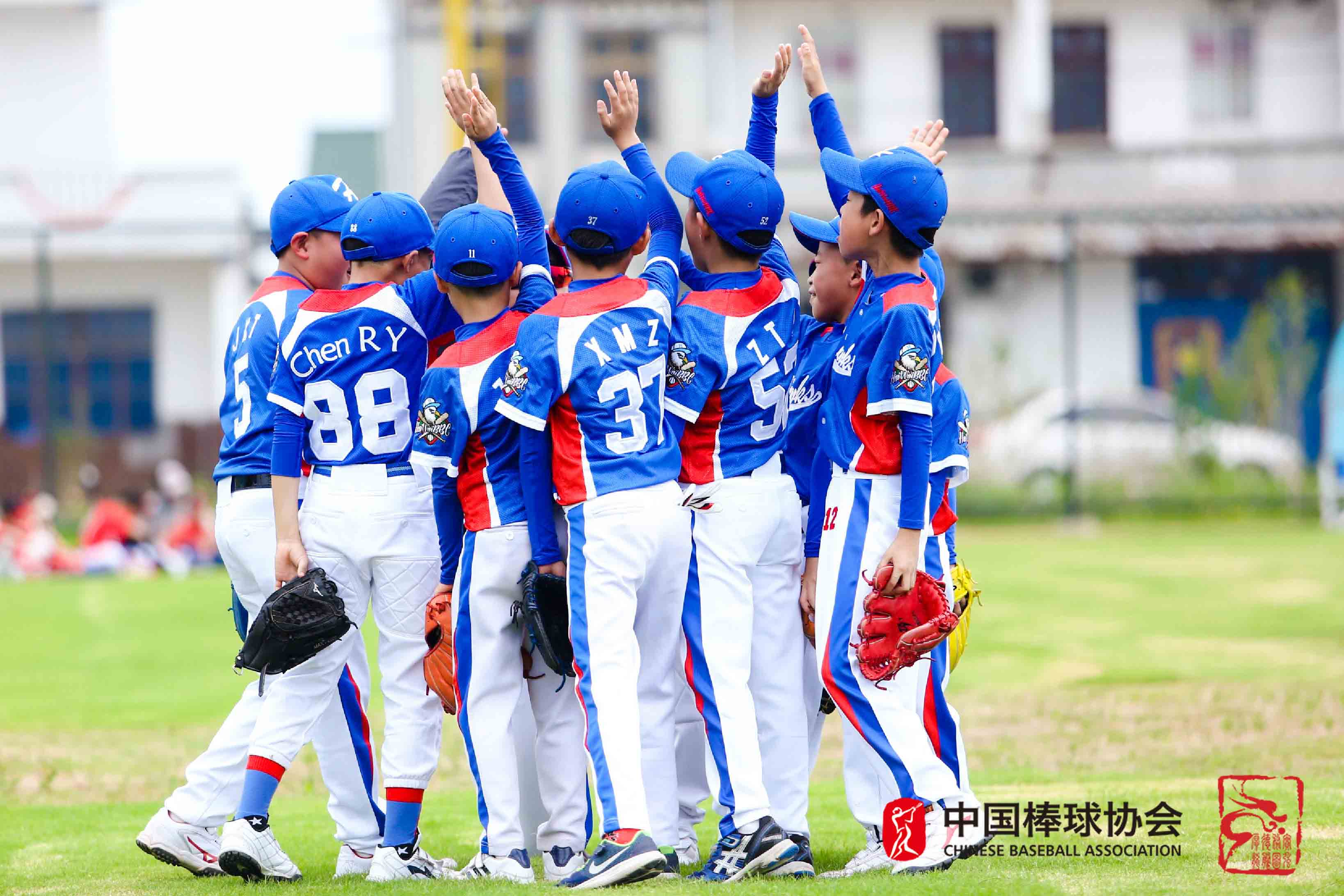 即享"照片直播"让2019mini baseball u9棒球锦标赛更精彩