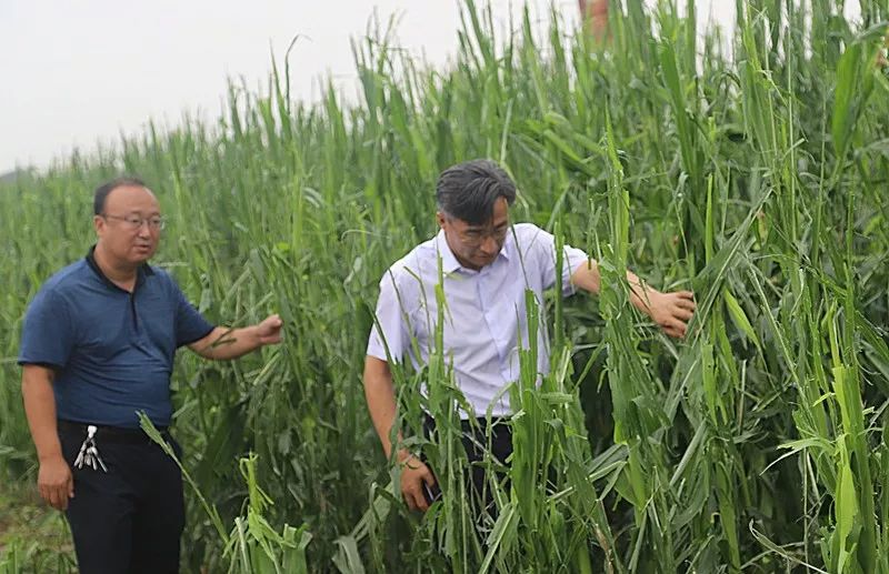 王大勇同志简历图片