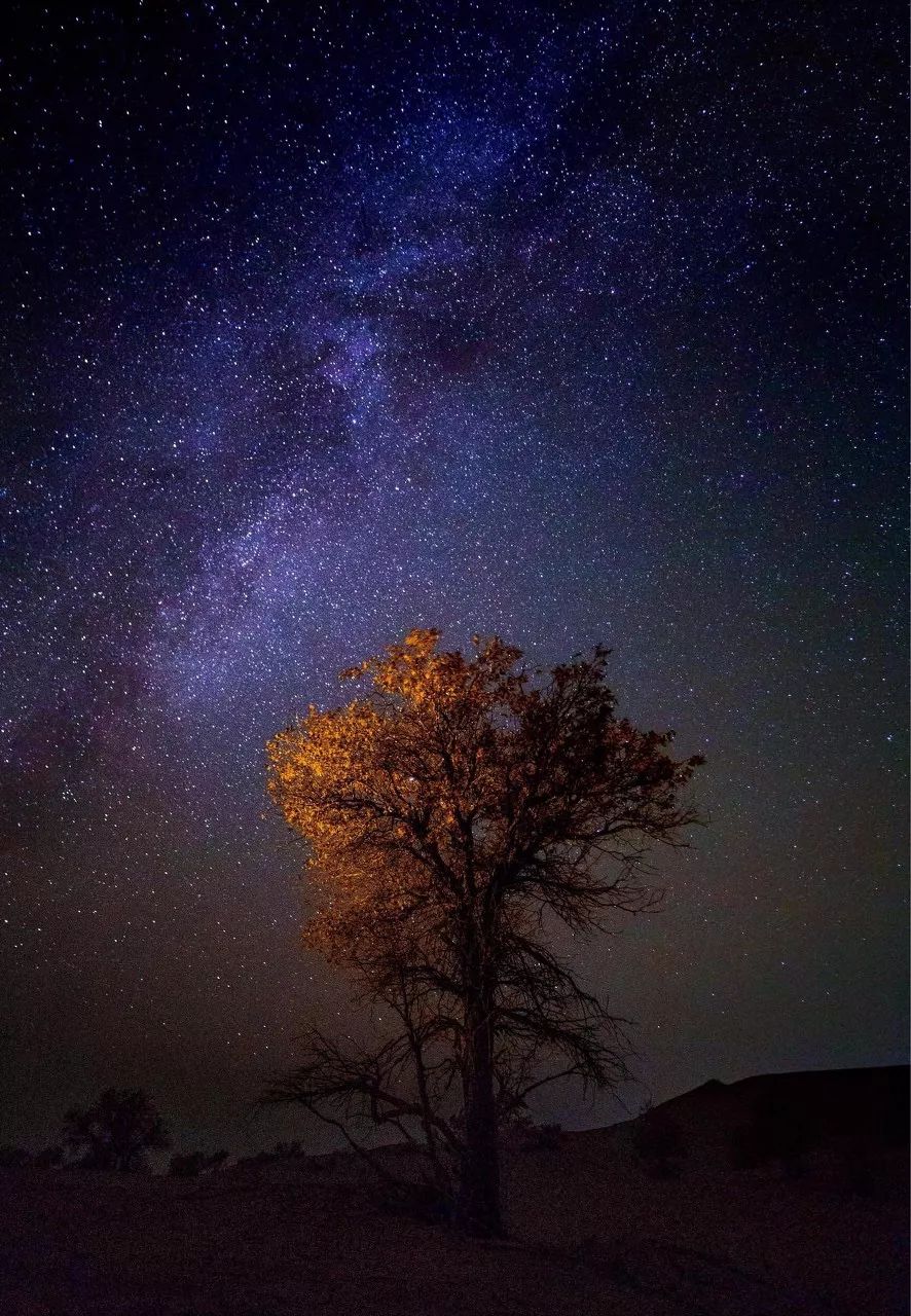我能想到最浪漫的事,就是和你一起去这些地方观星