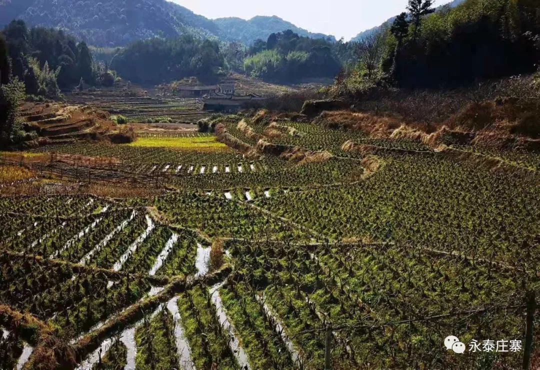 赤岸村开始筹建永泰首个善治之村
