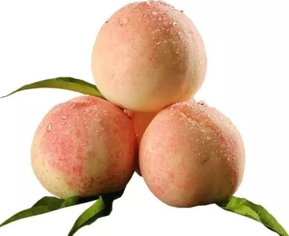 奉化水蜜桃:吸管一插就能吸到"琼浆玉露"!你,吃过了吗?