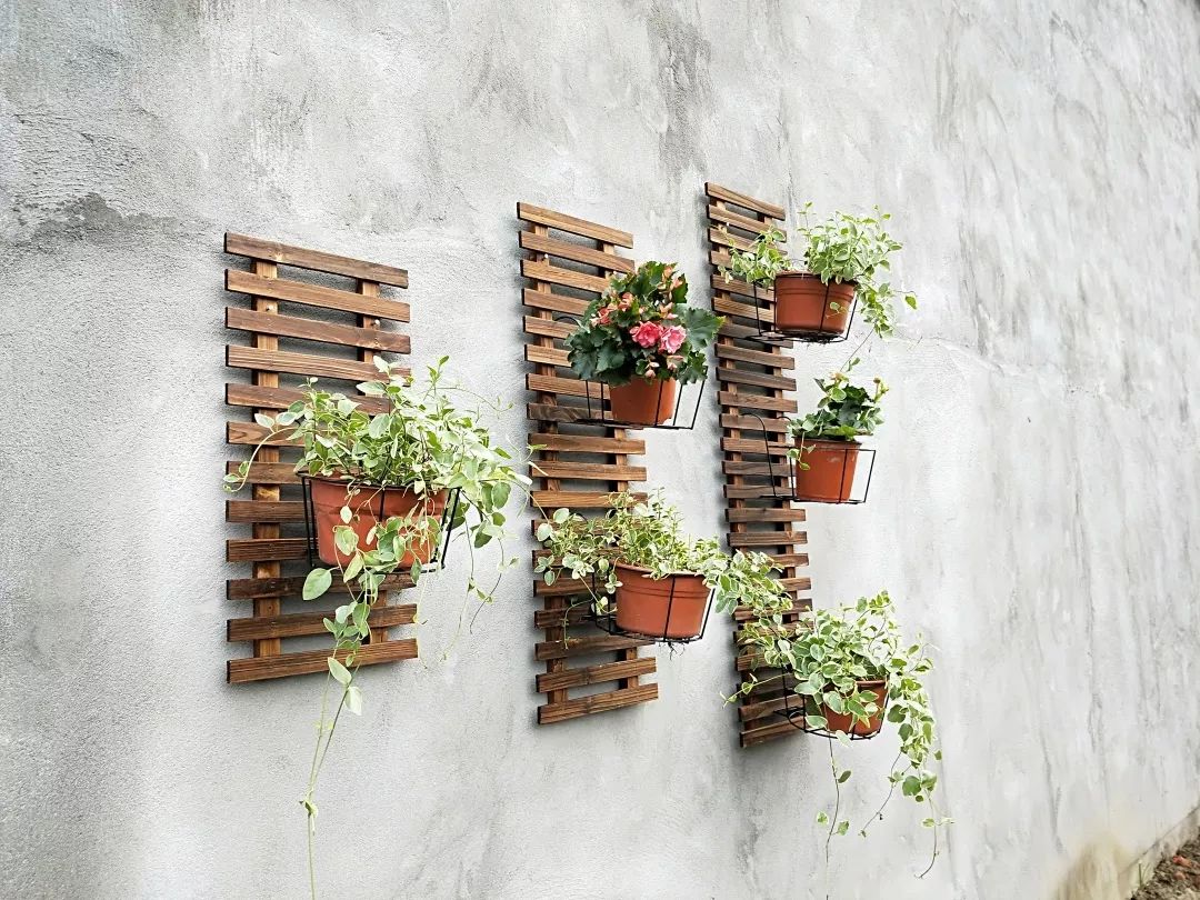 优美庭院墙的n种装饰方法速速收藏