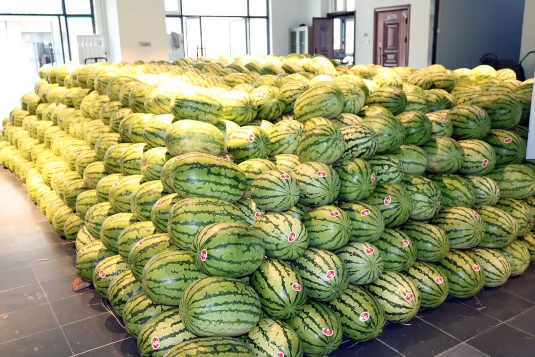 果品信息 | 全国好瓜齐聚市场,延安农批城一站购发优质西瓜