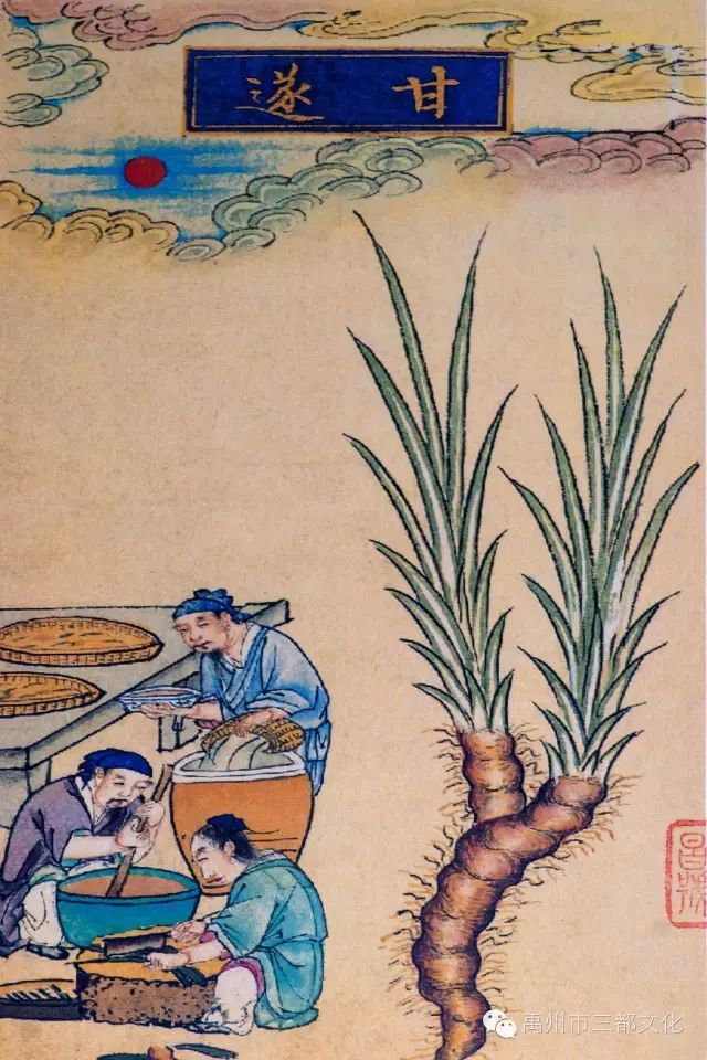 许昌非遗印象之禹州中药加工炮制技艺