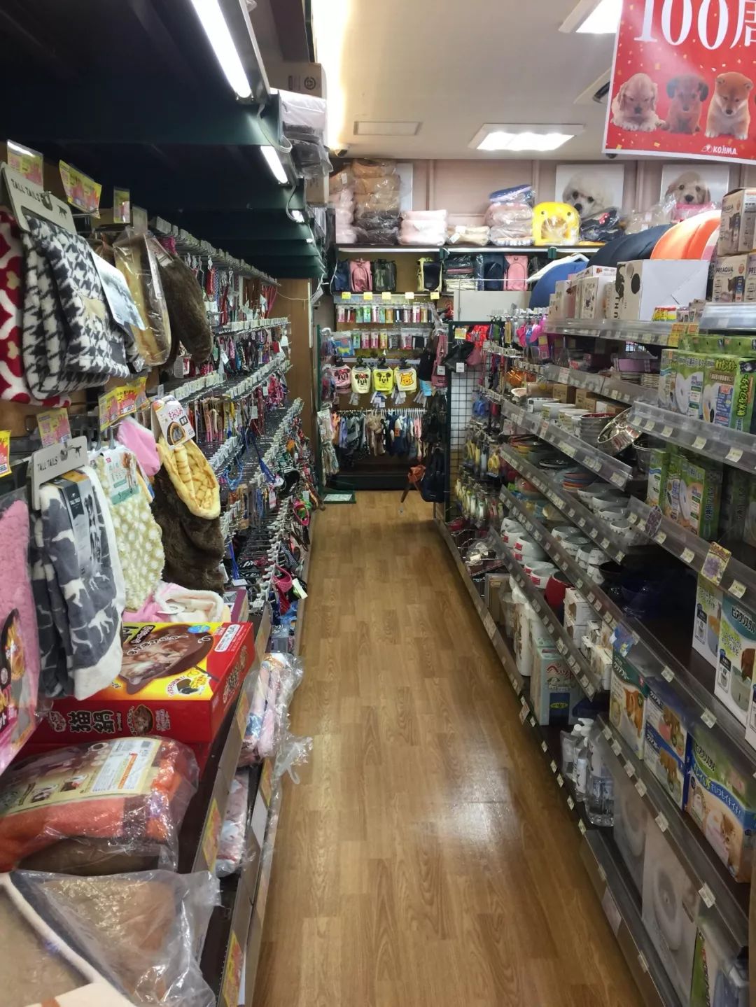 屹立百年的日本宠物店核心竞争力在哪里