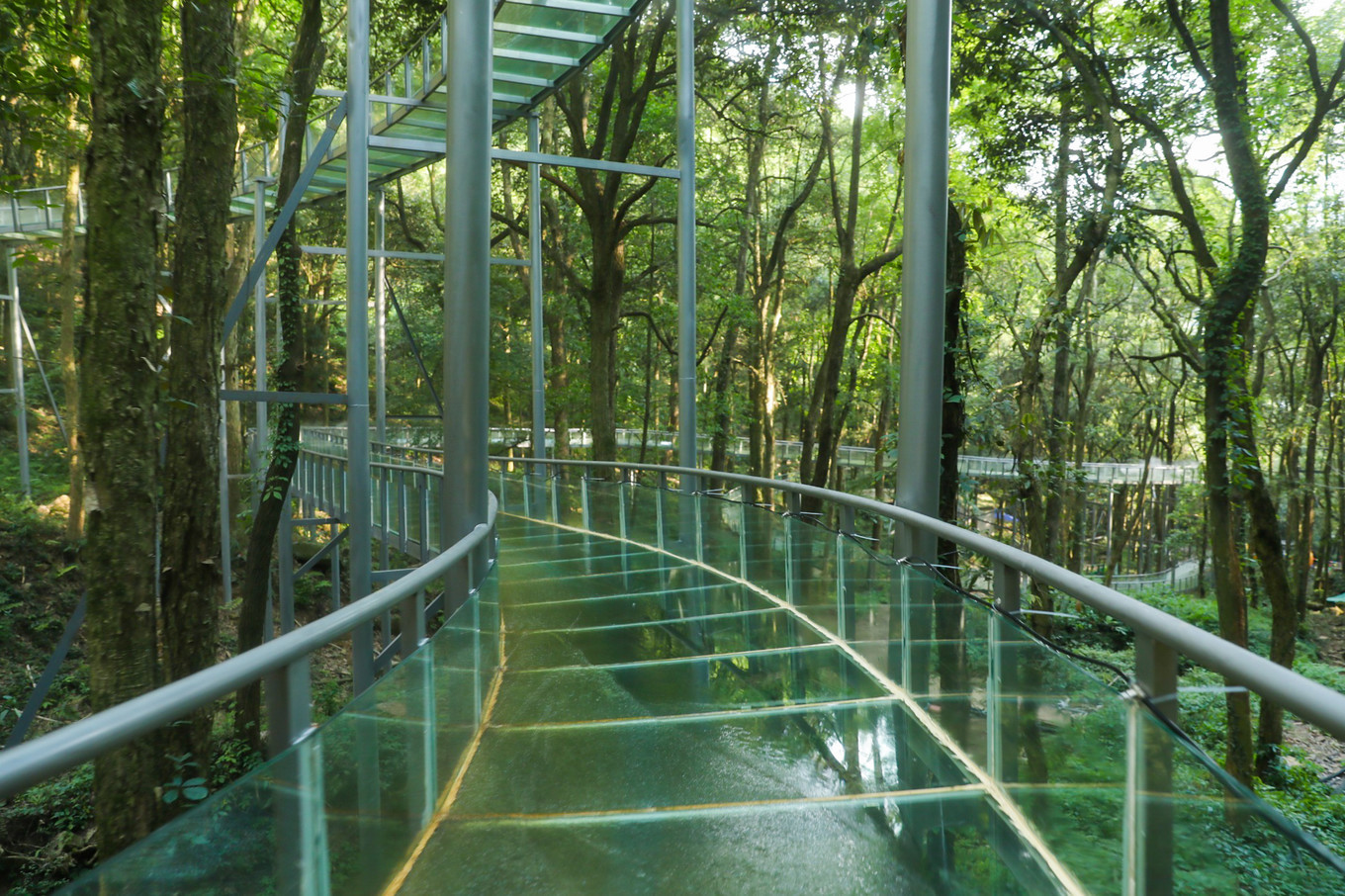 真实版富春山居,竟是杭州天然大氧吧,城市里的人都来这里避暑_桃源