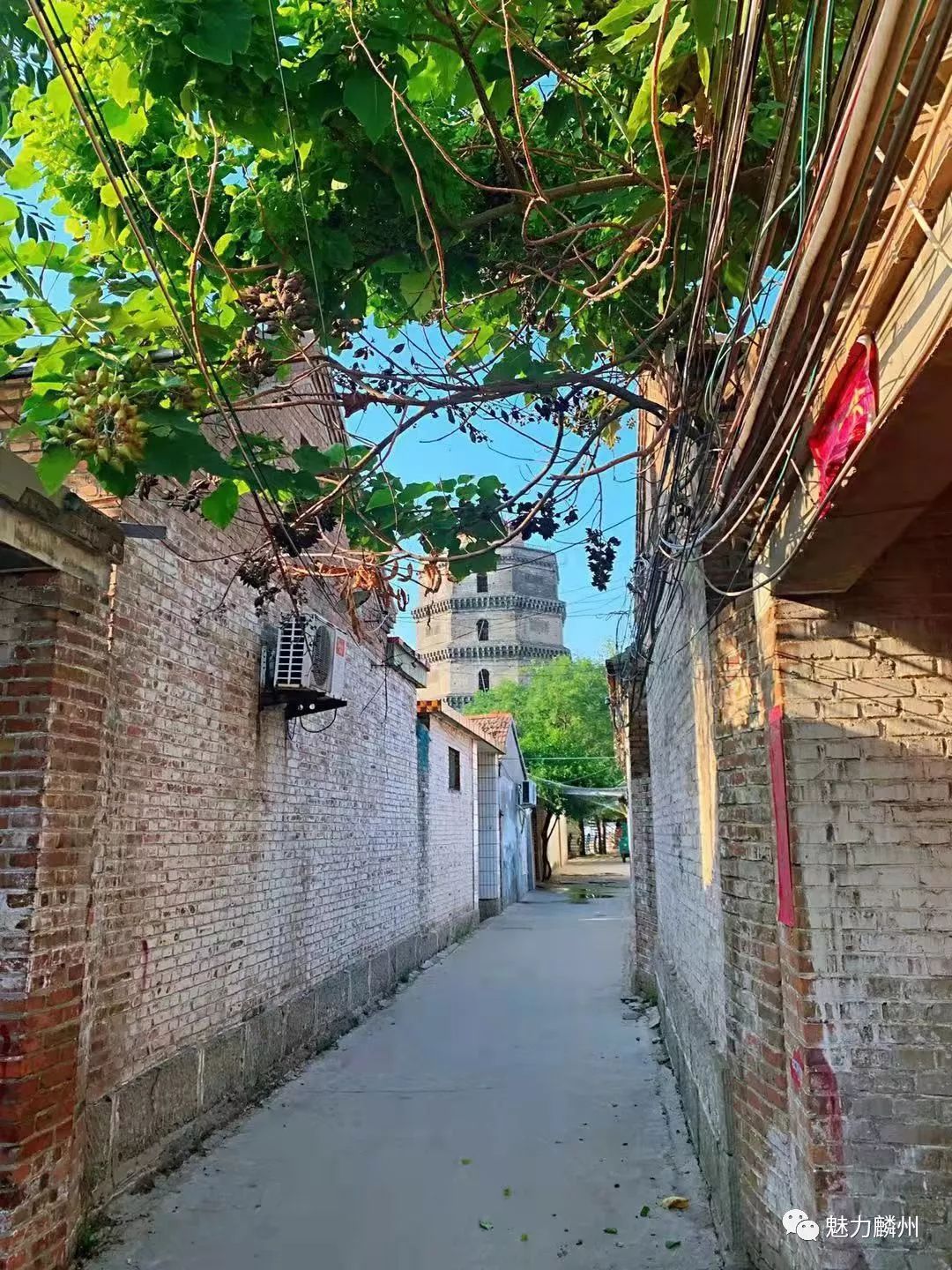 谁还记得巨野这条老街巷?带走思念带走了我们的爱