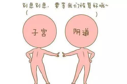 生完孩子六周后的身体有什么变化上海cbme归来的光神巴德尔为你解读