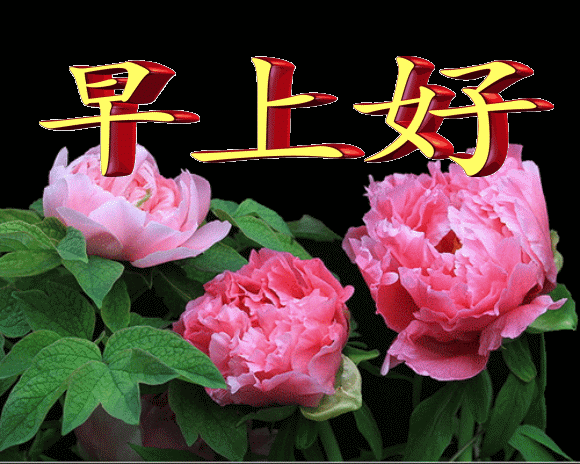 7月30日星期二朋友们早上好问候语图片早上好表情包