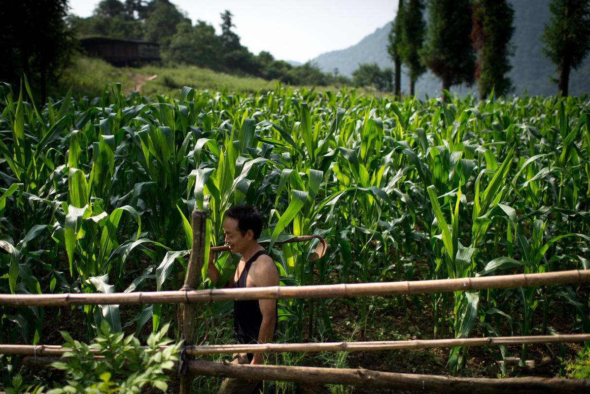 夫妇俩一见钟情,为爱情隐居深山老林,过着神仙眷侣般的生活
