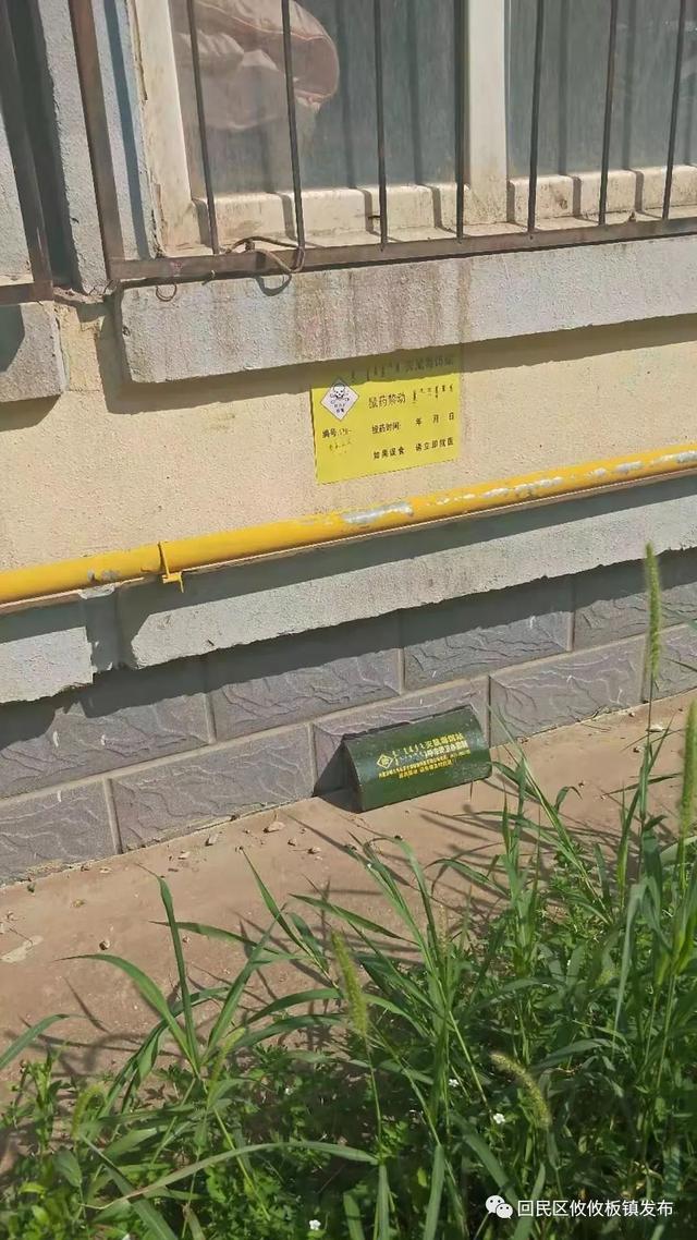 攸攸板镇开展灭鼠毒饵站投放工作