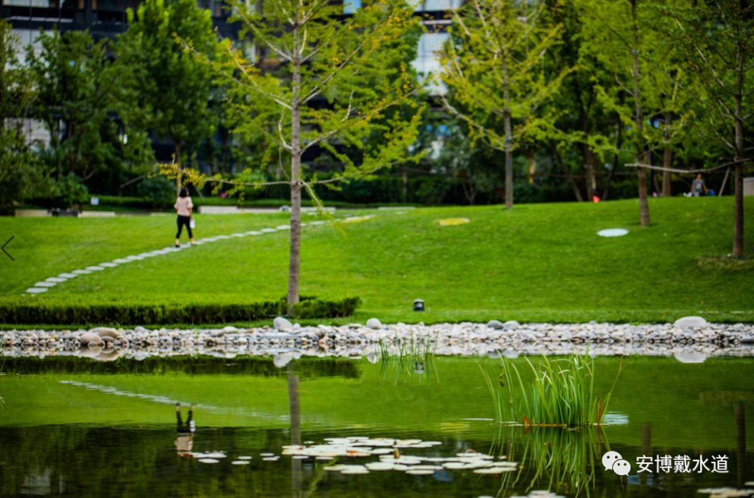 rambollshare國銳金嵿生態公園社區環境友好型景觀設計與雨洪管理實踐