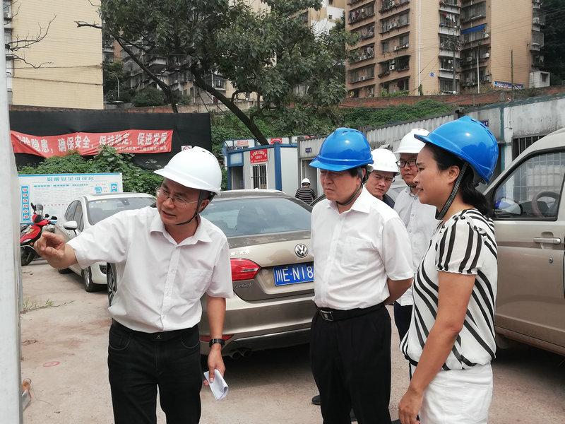 市政府副秘书长李振蛟率队调研龙马潭区二道溪污水