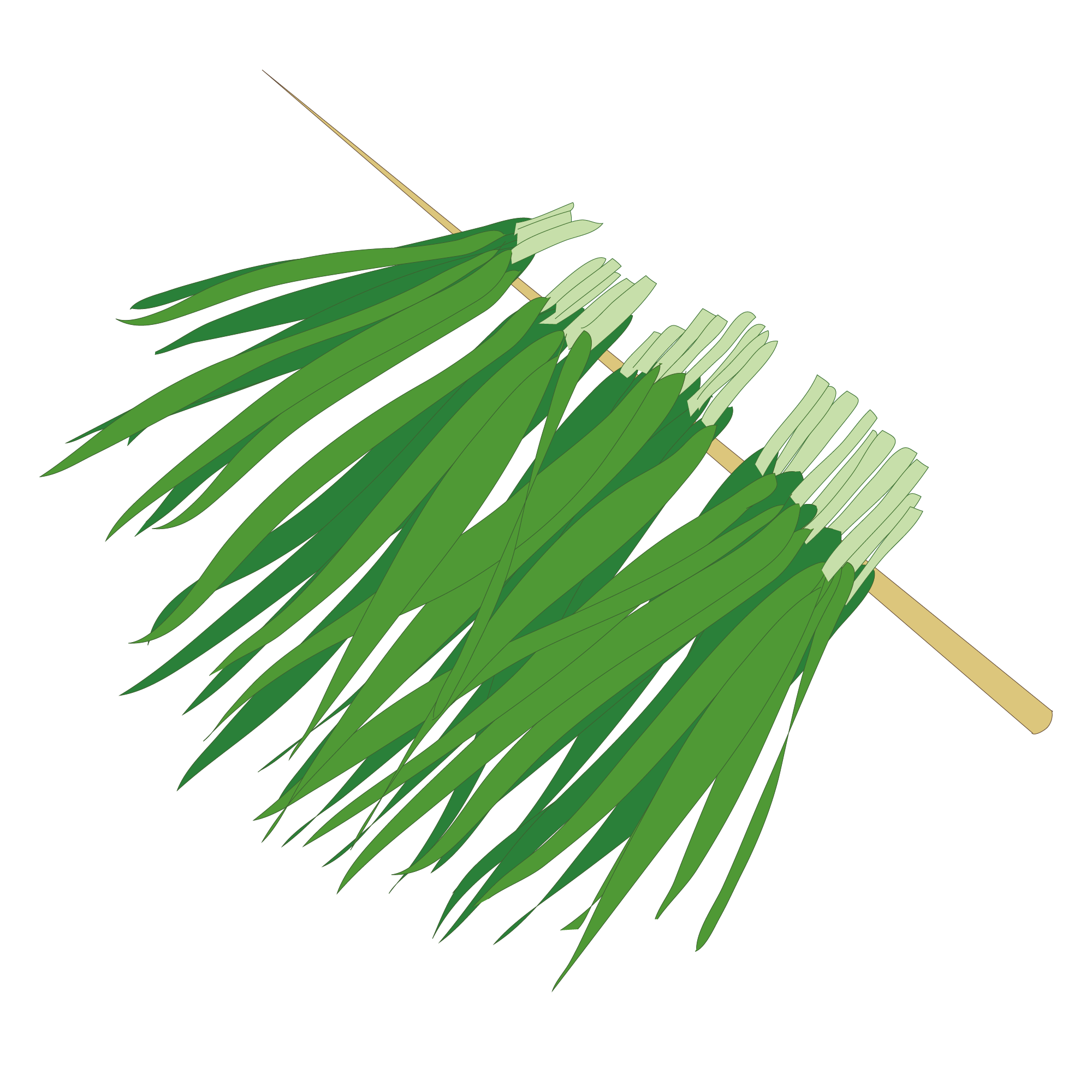 总感觉力不从心3种补肾食物真能让你重振雄风02