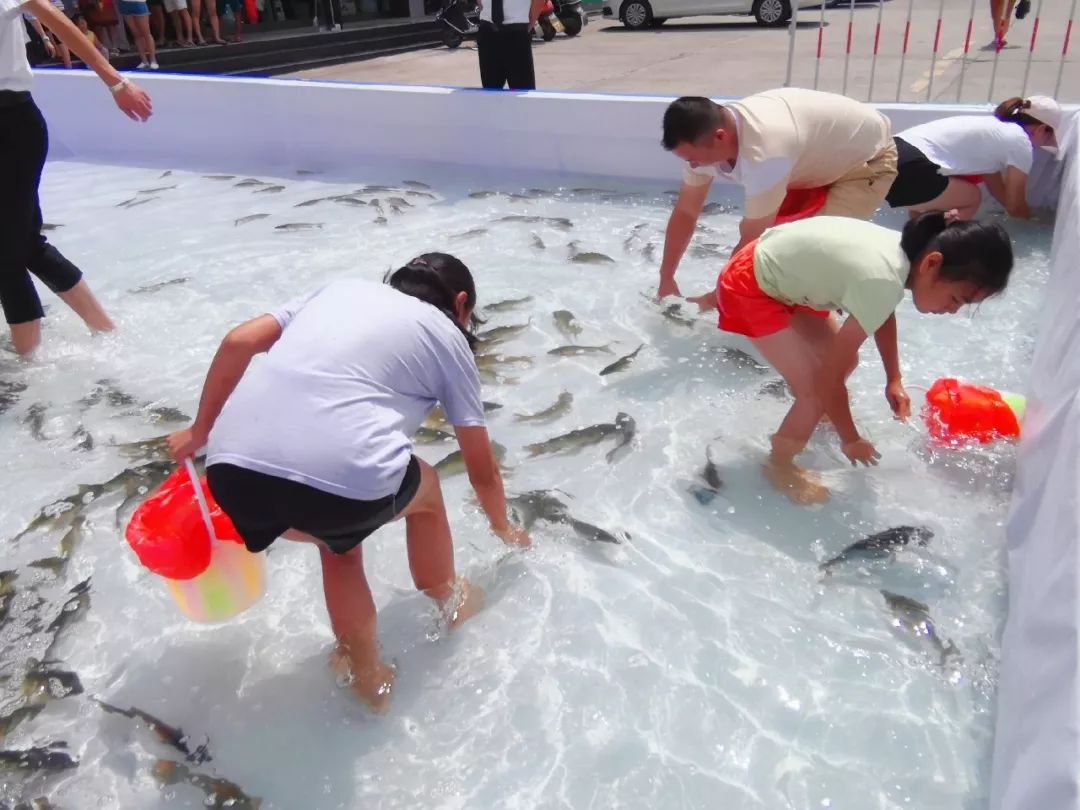 鲜活的鱼儿自由穿梭其中真人捕鱼清凉一刻实拍图都抵挡不了欢乐捕鱼