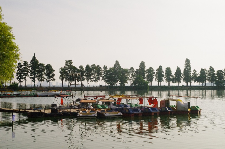 盛夏的武汉东湖风光村,仿若色彩浓郁的风光大片!