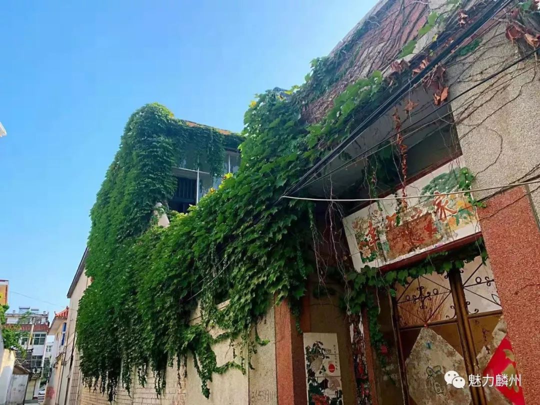 谁还记得巨野这条老街巷带走思念带走了我们的爱