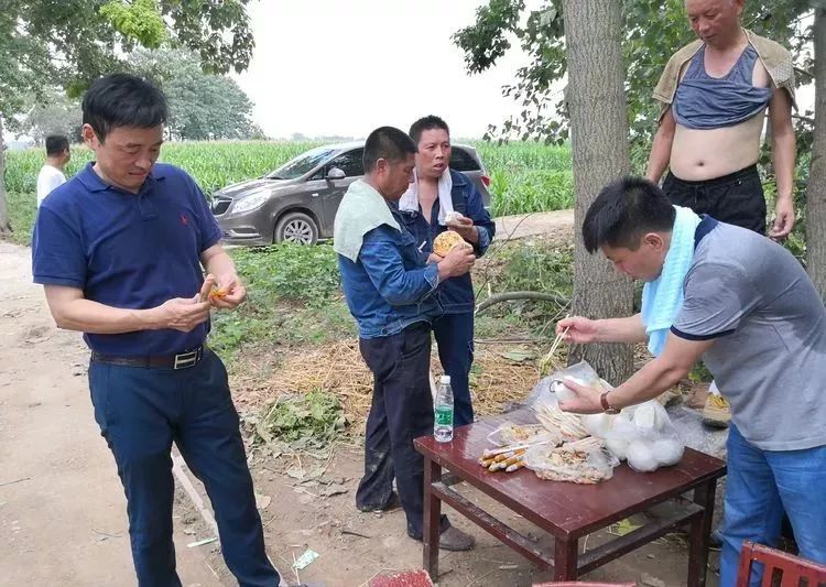 鹿邑县杨湖口车祸图片