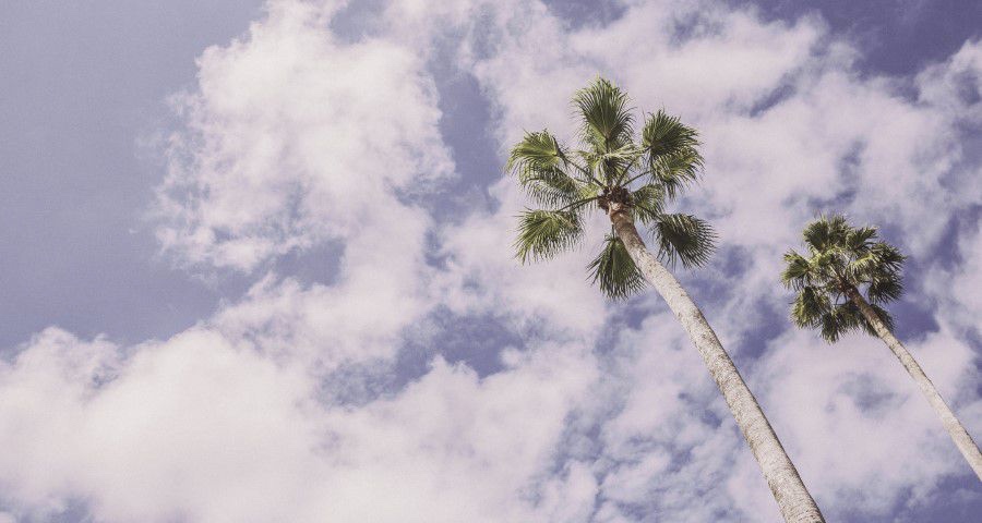 2019年上半场家电业喜怒哀乐背后：寻找新赛道的破冰之旅-家电圈官网