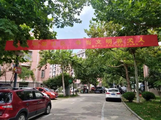 社区动态丨南新庄社区多措并举扎实推进文明养犬集中宣传工作