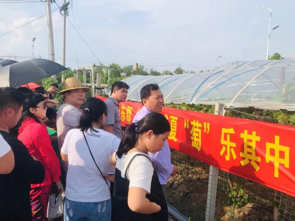 三巽文华东郡盛夏狂欢可乐西瓜葡萄应有尽有