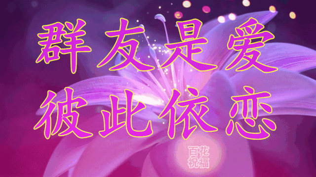 群相册看完一整天的心情都会变好