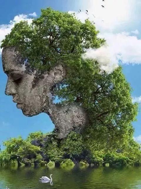 天下奇观太壮观了