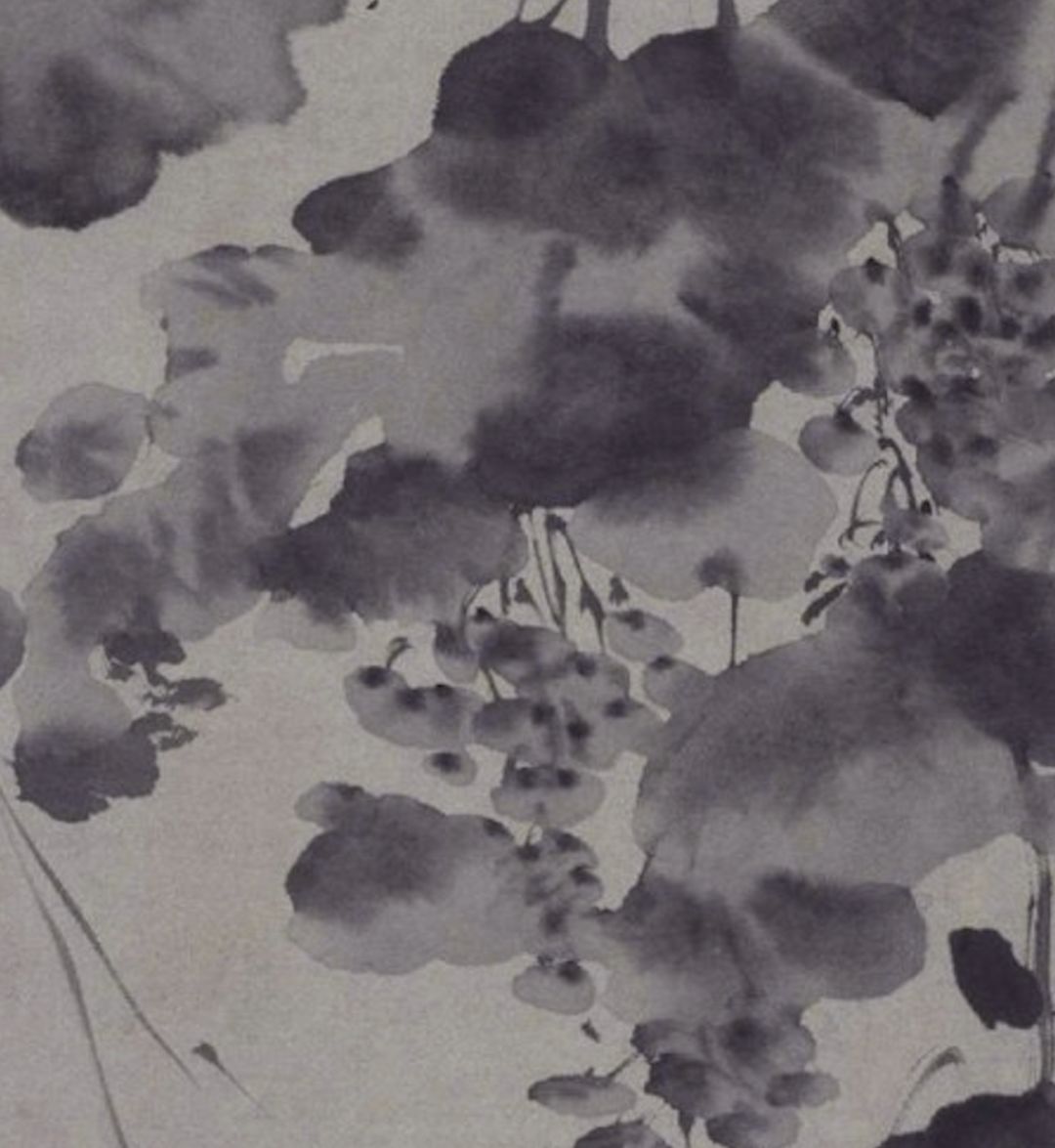 明 徐渭《墨葡萄图》_水墨