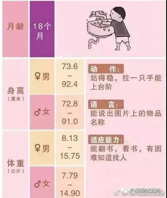 婴儿发育指标
