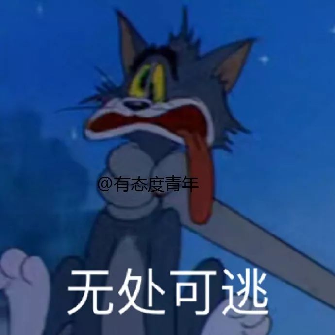 暗戀的男神找我聊天,竟然是為了偷我表情包?