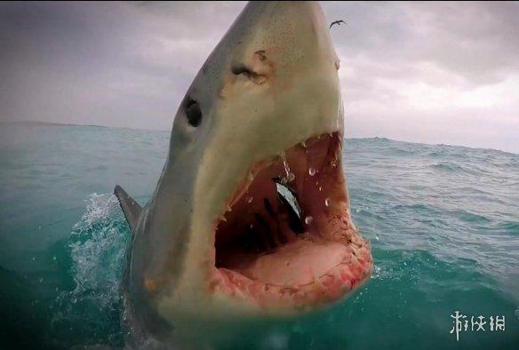 《食人鲨》官方介绍:前所未见的鲨鱼扮演动作游戏