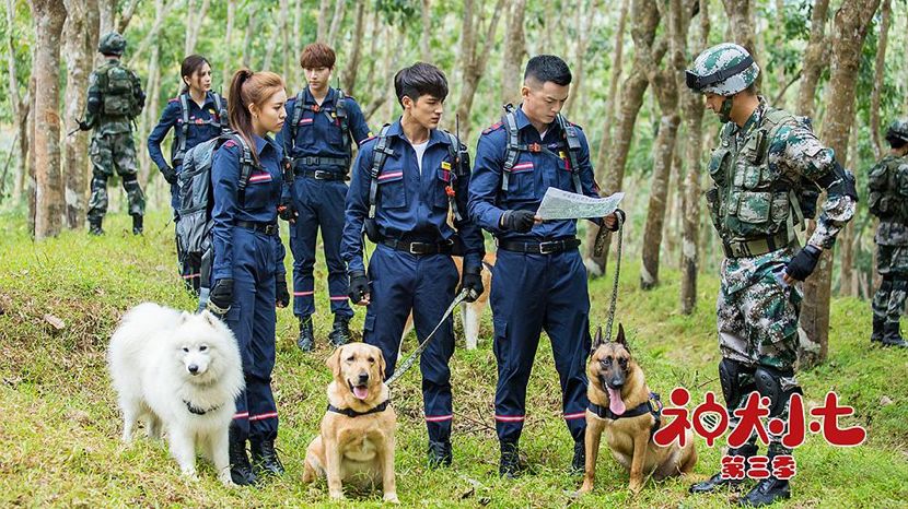 神犬小七步枪主人图片