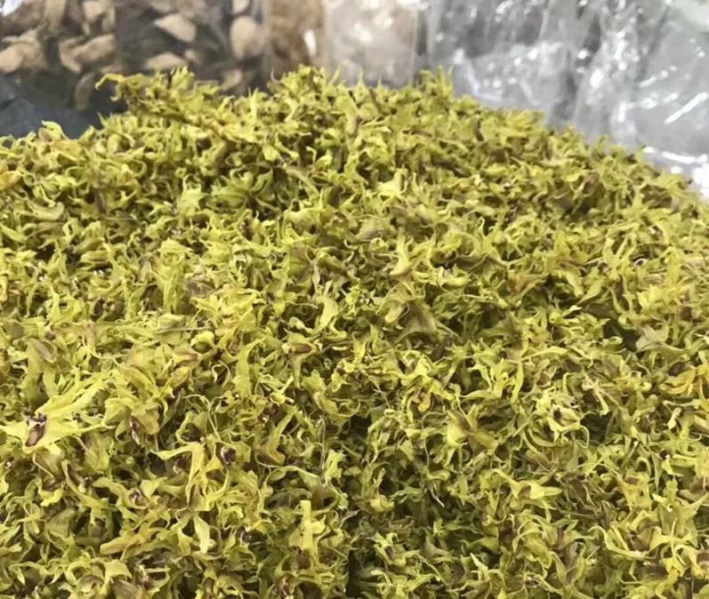 给家里人更多的关爱!饶平这家店是养生滋补的好去处!_海参