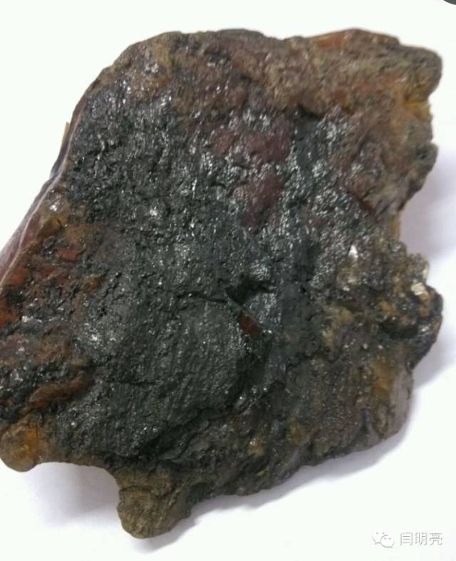 别让所谓的煤珀,忽悠了你!_琥珀