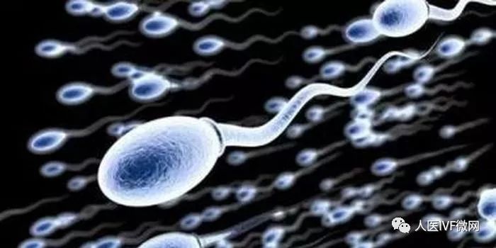 从睾丸生产出来的精子是不是就可以和卵子结合了呢?答案是否定的.