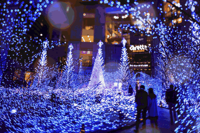 水幕电影,地板钢琴,互动全息投影,灯光秀与您相约!