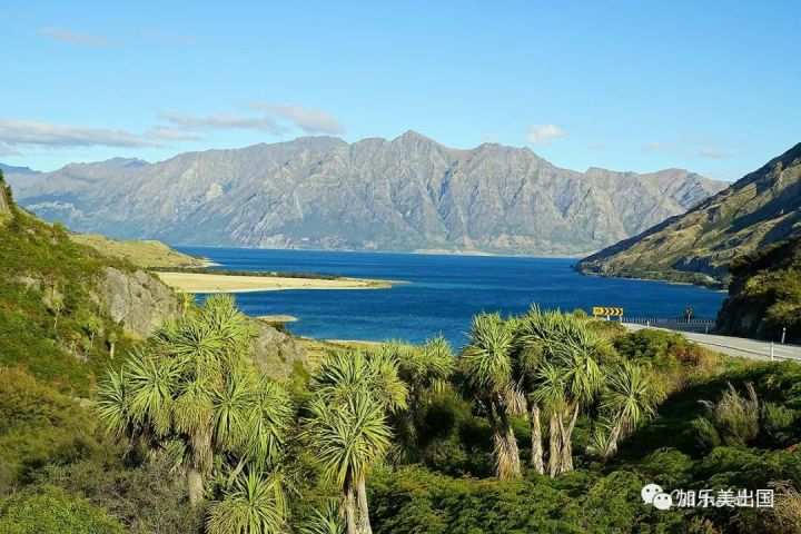 加乐美出国美国南加州河滨市riverside3卧4卧现房推荐