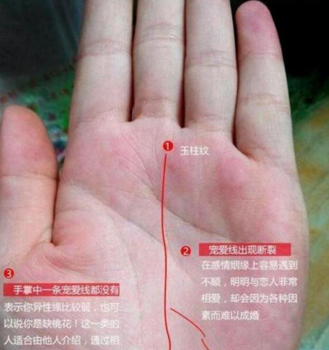 如果是女性的话很可能会嫁金龟婿,宠爱线与玉柱纹相接的人,会因为恋爱