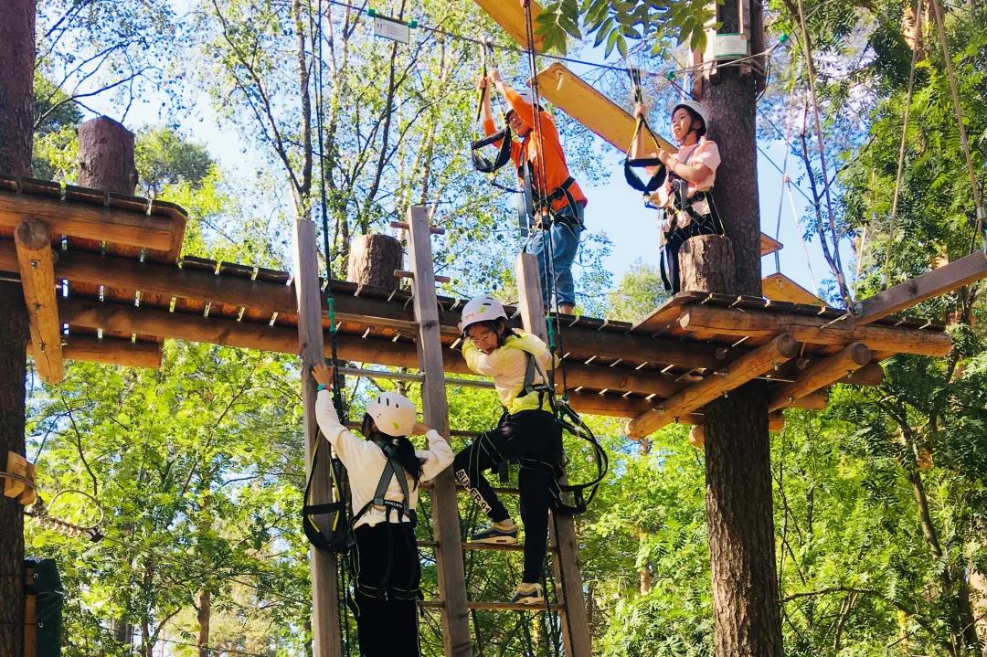 戌时19:00-21:00xian,china北京时间7月29日20:00西安研学拓宽历史