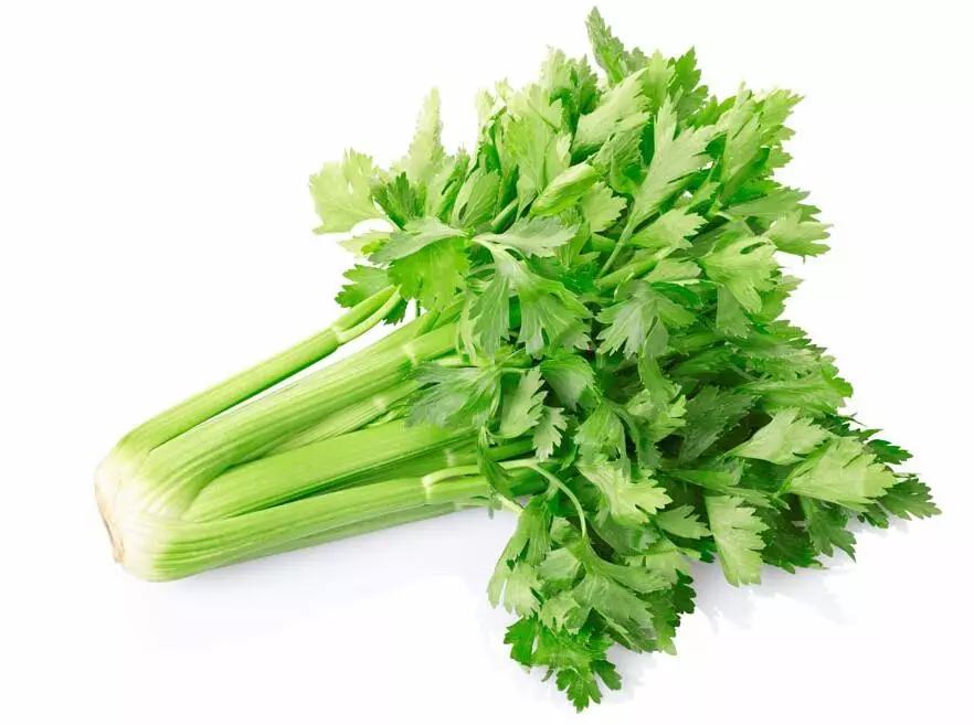 菜农从不外说的15个挑菜技巧,买菜再也不怕被坑了