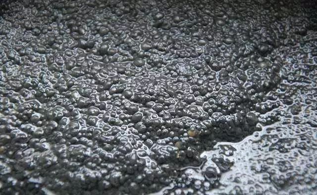 污泥处置路在何方