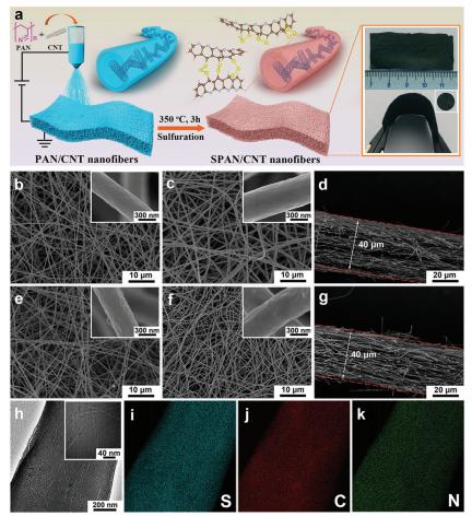 东华大学刘天西教授团队afm静电纺丝构建高兼容性硫化聚丙烯腈电极