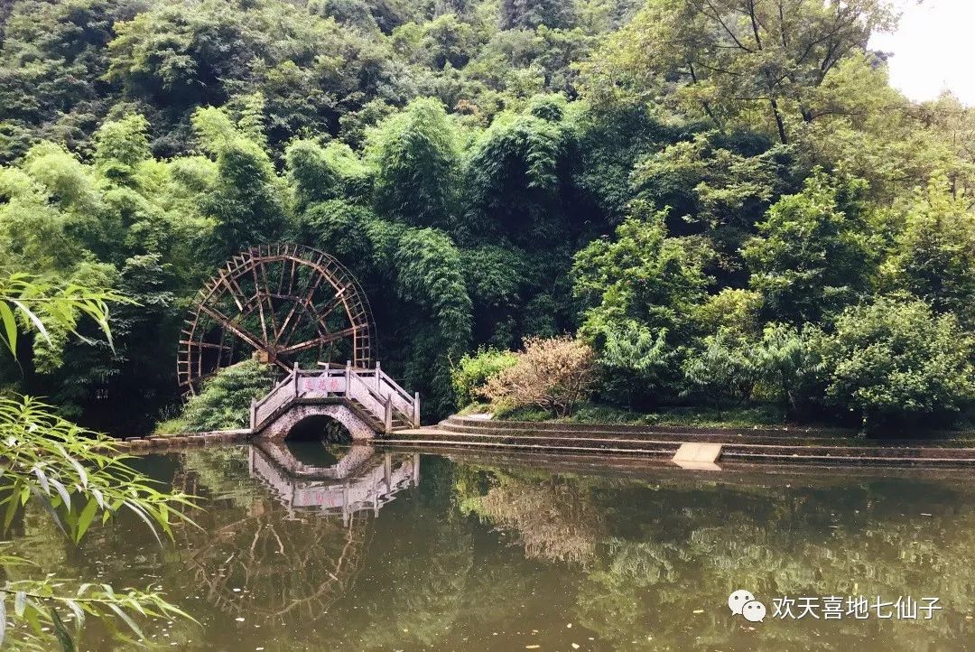 帮推暑期社会实践车溪村旅游发展调研