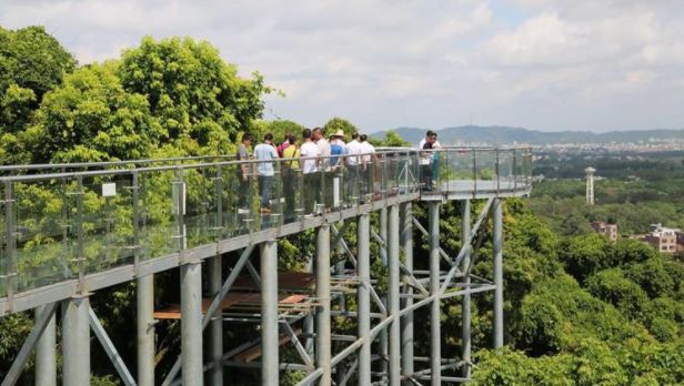 廉江玻璃桥旅游区图片