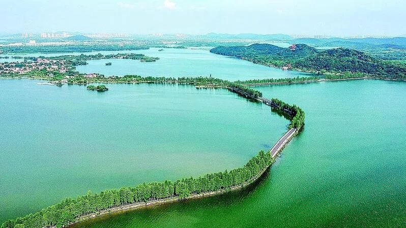 东湖绿道是武汉市民的"幸福道""来武汉,游东湖,逛绿道,品文化"成为