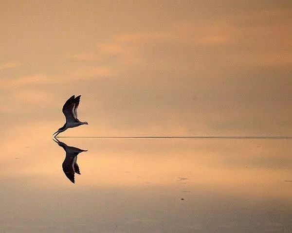 新手须知道的摄影构图技巧!你最常用的是哪个?