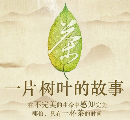 让一片片茶叶成为富裕一方百姓的金叶