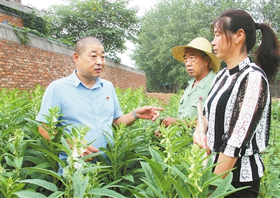 心系群众真情为民记新乡县小冀镇聂庄村党支部书记村委会主任王全永