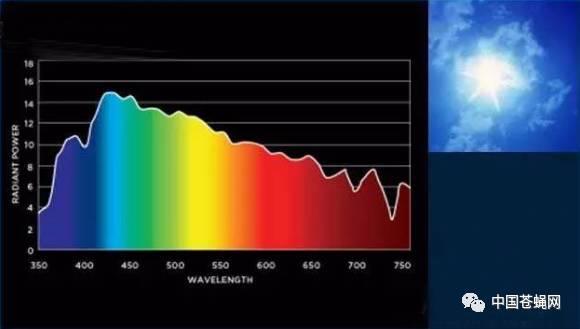 有效果光源的光谱虻虫小太阳,led光源作为黑水虻成虫繁育环节的补光灯